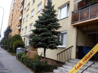 Eladó 35 m²-estársasházi lakás XV. Kerület (Újpalota) , Nyírpalota út: 49'000'000 Ft