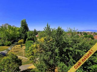 Eladó 35 m²-estársasházi lakás XV. Kerület (Újpalota) , Páskomliget utca: 52'500'000 Ft