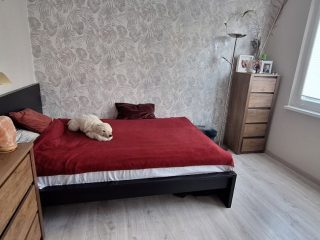 Eladó 70 m²-estársasházi lakás XV. Kerület (Újpalota) , Páskomliget utca: 73'500'000 Ft