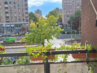 Eladó 70 m²-estársasházi lakás XV. Kerület (Újpalota) , Páskomliget utca: 73'500'000 Ft