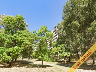 Eladó 47 m²-estársasházi lakás XV. Kerület (Újpalota) , Újpalota: 55'900'000 Ft