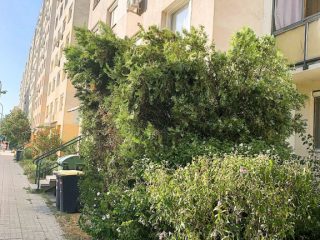 Eladó 57 m²-estársasházi lakás XV. Kerület (Újpalota) , Zsókavár utca: 64'900'000 Ft