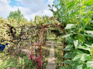 Eladó 95 m²-escsaládi ház XVI. Kerület (Árpádföld) , Árpádföld kedvelt részén: 110'000'000 Ft