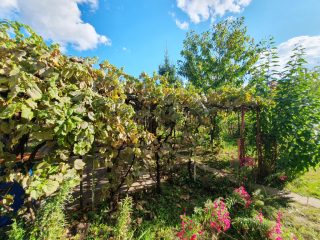 Eladó 95 m²-escsaládi ház XVI. Kerület (Árpádföld) , Árpádföld kedvelt részén: 110'000'000 Ft