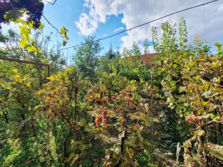 Eladó 95 m²-escsaládi ház XVI. Kerület (Árpádföld) , Árpádföld kedvelt részén: 110'000'000 Ft