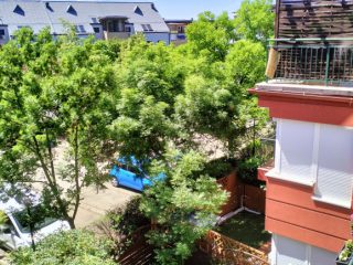 Eladó 46 m²-estársasházi lakás XVI. Kerület (Árpádföld) , Malomdomb Lakópark: 73'900'000 Ft