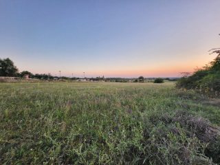 Eladó 3035 m²-estelek XVI. Kerület (Cinkota) , Cinkota: 18'000'000 Ft