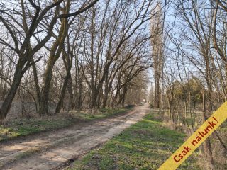 Eladó 828 m²-estelek XVI. Kerület (Cinkota) , Cinkota: 11'900'000 Ft