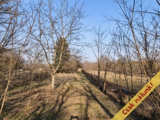 Eladó 828 m²-estelek XVI. Kerület (Cinkota) , Cinkota: 11'900'000 Ft