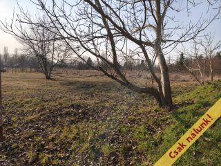 Eladó 828 m²-estelek XVI. Kerület (Cinkota) , Cinkota: 11'900'000 Ft