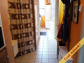 Eladó 43 m²-estársasházi lakás XVI. Kerület (Mátyásföld) , Centenáriumi sétány: 52'500'000 Ft