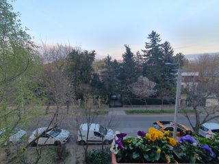 Eladó 48 m²-estársasházi lakás XVI. Kerület (Mátyásföld) , Jókai Lakótelep csendes részén: 62'900'000 Ft