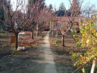 Eladó 146 m²-escsaládi ház XVI. Kerület (Mátyásföld) , Mátyásföld: 149'000'000 Ft