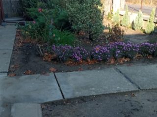 Eladó 146 m²-escsaládi ház XVI. Kerület (Mátyásföld) , Mátyásföld: 149'000'000 Ft