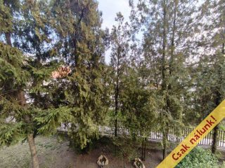 Eladó 61 m²-estársasházi lakás XVI. Kerület (Mátyásföld) , Zsélyi Aladár utca: 89'500'000 Ft