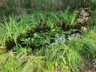 Eladó 233 m²-escsaládi ház XVI. Kerület (Rákosszentmihály) , Kisszentmihály: 262'000'000 Ft