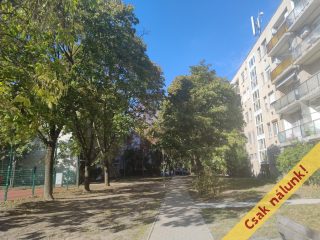 Eladó 46 m²-estársasházi lakás XVI. Kerület (Rákosszentmihály) , Szalmarózsa utca: 61'800'000 Ft