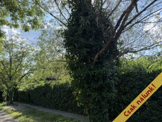 Eladó 64 m²-escsaládi ház XVI. Kerület (Rákosszentmihály) , Vörösmarty utca: 99'000'000 Ft