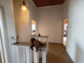 Eladó 336 m²-escsaládi ház XVI. Kerület (Sashalom) , Sashalom: 350'000'000 Ft