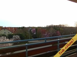 Eladó 65 m²-estársasházi lakás XVII. Kerület (Akadémiaújtelep) , Lázár deák utca: 84'500'000 Ft