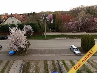 Eladó 65 m²-estársasházi lakás XVII. Kerület (Akadémiaújtelep) , Lázár deák utca: 84'500'000 Ft