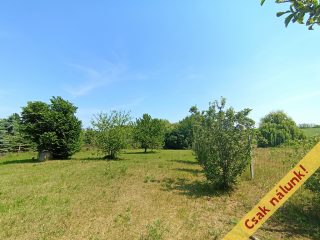 Eladó 975 m²-estelek XVII. Kerület (Rákoscsaba) , Mezőőr utca: 25'000'000 Ft
