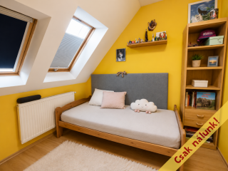 Eladó 155 m²-escsaládi ház XVII. Kerület (Rákoscsaba Újtelep) , Hidasnémeti utca: 210'000'000 Ft