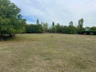 Eladó 5211 m²-esmezőgazdasági ingatlan XVII. Kerület (Rákoscsaba Újtelep) , Kerektói utca: 48'700'000 Ft