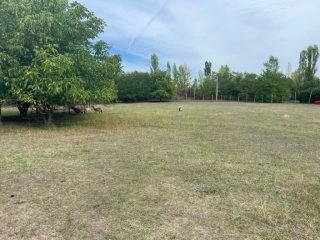 Eladó 5211 m²-esmezőgazdasági ingatlan XVII. Kerület (Rákoscsaba Újtelep) , Kerektói utca: 48'700'000 Ft