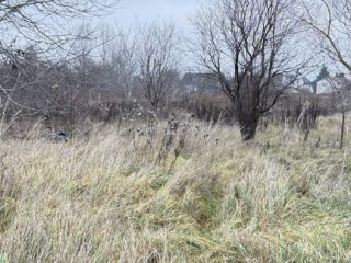 Eladó 1010 m²-estelek XVII. Kerület (Rákoscsaba Újtelep) , Kopolya utca: 11'900'000 Ft