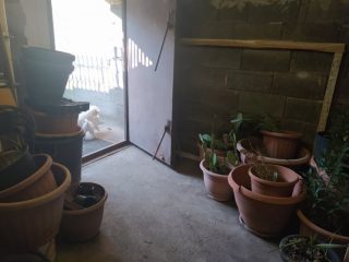 Kiadó 80 m²-eslogisztika - raktározás XVII. Kerület (Rákoscsaba Újtelep) , Naplás tó környékén lévő utca: 130'000 Ft