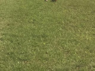 Kiadó 1010 m²-esmezőgazdasági ingatlan XVII. Kerület (Rákoscsaba Újtelep) , hidasnémeti utca környékén lévő utca: 100'000 Ft