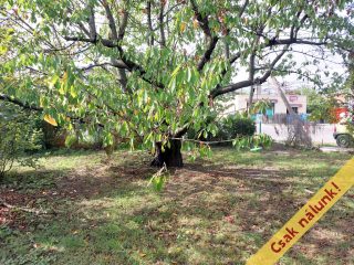 Eladó 42 m²-escsaládi ház XVII. Kerület (Rákoscsaba) , Zrínyi utca: 52'500'000 Ft