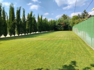 Eladó 500 m²-esegyéb üzlethelyiség XVII. Kerület (Rákoshegy) , Alsórákoshegy utca: 380'000'000 Ft