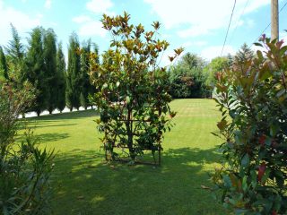 Eladó 500 m²-esegyéb üzlethelyiség XVII. Kerület (Rákoshegy) , Alsórákoshegy utca: 380'000'000 Ft