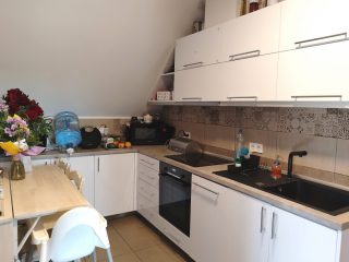 Eladó 500 m²-esegyéb üzlethelyiség XVII. Kerület (Rákoshegy) , Alsórákoshegy utca: 380'000'000 Ft