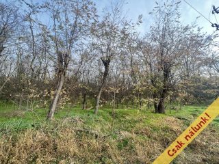 Eladó 17 m²-esmezőgazdasági ingatlan XVII. Kerület (Rákoshegy) , Baross utca: 1'550'000 Ft