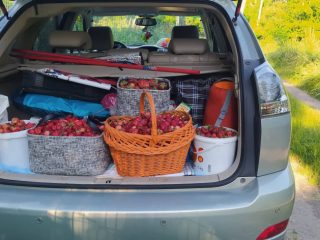 Kiadó 1000 m²-estelek XVII. Kerület (Rákoshegy) , Rákoshegy csendes mellékutcában található utca: 140'000 Ft