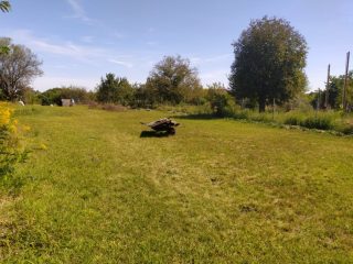 Kiadó 1000 m²-estelek XVII. Kerület (Rákoshegy) , Rákoshegy csendes mellékutcában található utca: 140'000 Ft