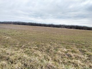 Kiadó 1000 m²-esmezőgazdasági ingatlan XVII. Kerület (Rákoshegy) , Reptér közeli völgy: 110'000 Ft