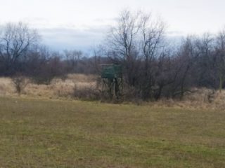 Kiadó 1000 m²-esmezőgazdasági ingatlan XVII. Kerület (Rákoshegy) , Reptér közeli völgy: 110'000 Ft