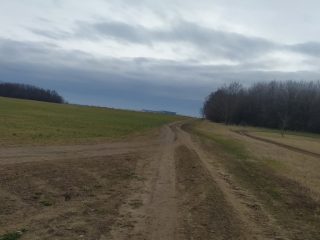 Kiadó 1000 m²-esmezőgazdasági ingatlan XVII. Kerület (Rákoshegy) , Reptér közeli völgy: 110'000 Ft