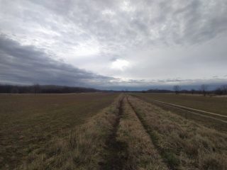 Kiadó 1000 m²-esmezőgazdasági ingatlan XVII. Kerület (Rákoshegy) , Reptér közeli völgy: 110'000 Ft