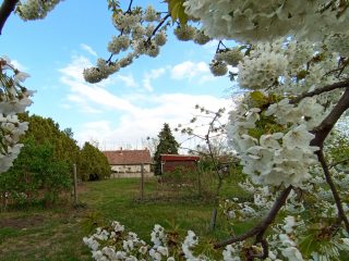 Eladó 120 m²-escsaládi ház XVII. Kerület (Rákoshegy) , Rózsahegy utca: 235'000'000 Ft