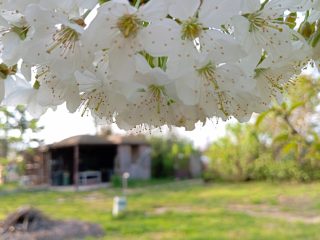 Eladó 120 m²-escsaládi ház XVII. Kerület (Rákoshegy) , Rózsahegy utca: 235'000'000 Ft