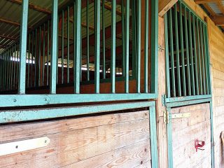 Eladó 4450 m²-estelek XVII. Kerület (Rákoshegy) , Rózsahegy utca: 135'000'000 Ft