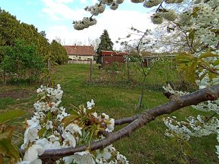 Eladó 6295 m²-estelek XVII. Kerület (Rákoshegy) , Rózsahegy utca: 235'000'000 Ft