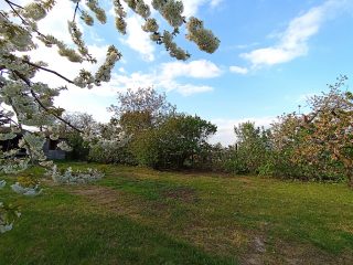 Eladó 6295 m²-estelek XVII. Kerület (Rákoshegy) , Rózsahegy utca: 235'000'000 Ft