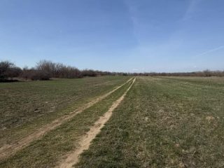 Eladó 1000 m²-estelek XVII. Kerület (Rákoshegy) , reptér közeli utca: 5'900'000 Ft