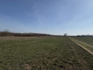 Eladó 1000 m²-estelek XVII. Kerület (Rákoshegy) , reptér közeli utca: 5'500'000 Ft